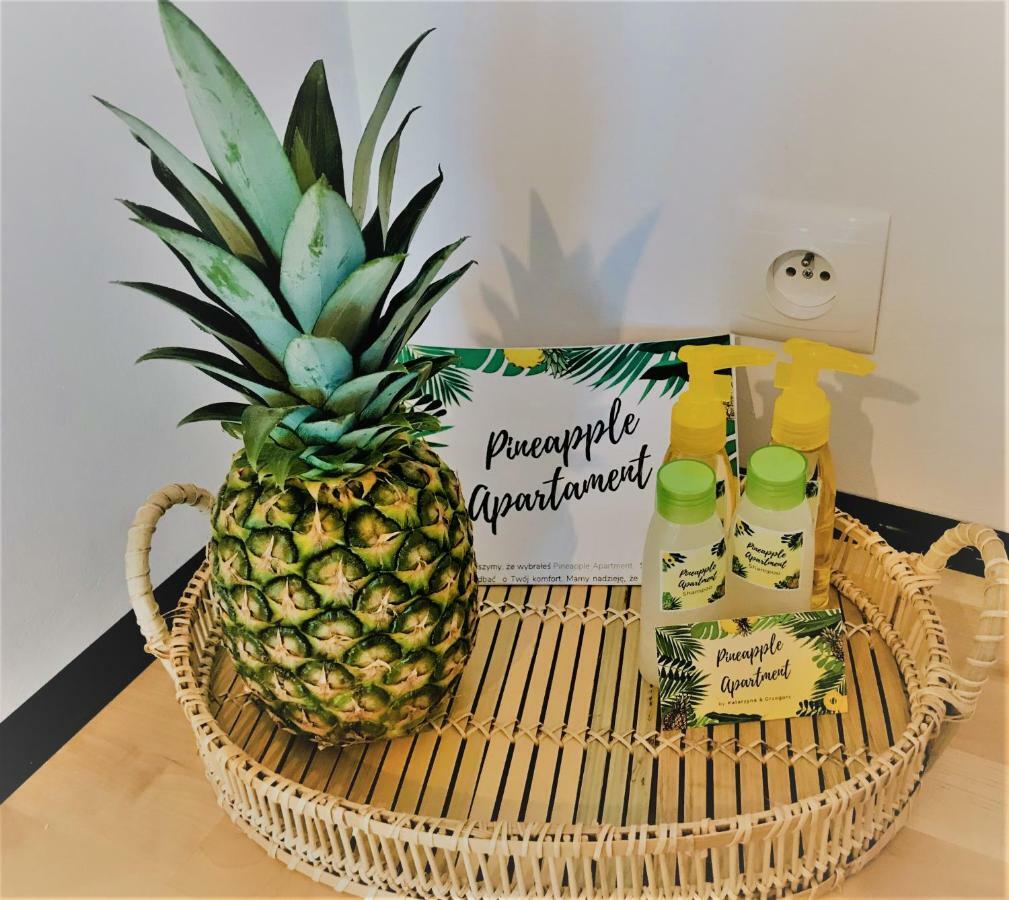 Pineapple Apartment Kolobrzeg Exterior photo